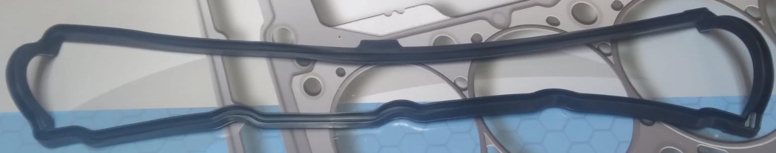 EMPAQUETADURA DE TAPA DE VALVULA RENAULT 19/SCENIC F8Q/F9Q